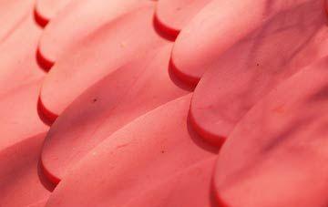 Tremains plastic roof costs