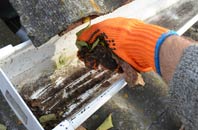 rated Tremains gutter cleaning companies